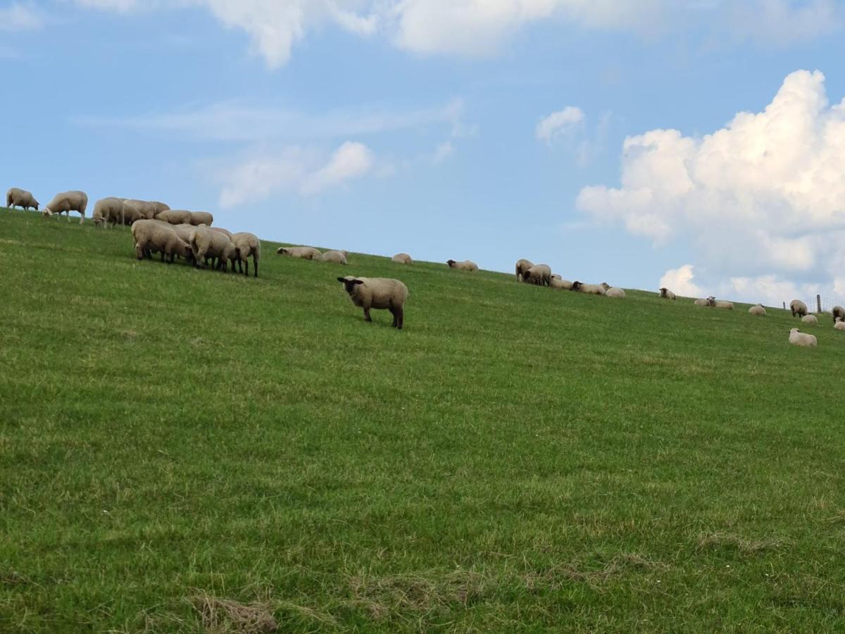 Haus Meererleben - Urlaub Mit Hund An Der Nordsee Schweiburg 외부 사진